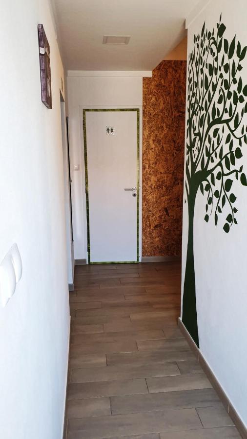 זמבוז'יירה דו מאר Roots Apartment מראה חיצוני תמונה